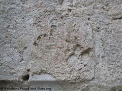 Wandverzierung 05/2016