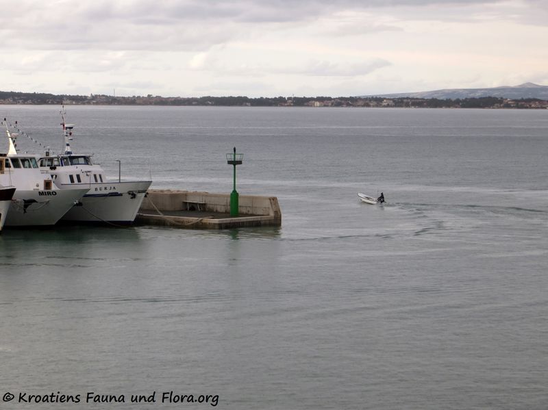 Datei:3 191109 2174 Ausfahrt.jpg