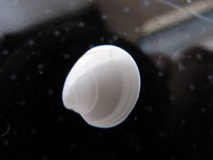 LorOrb Vir 111009 115.JPG