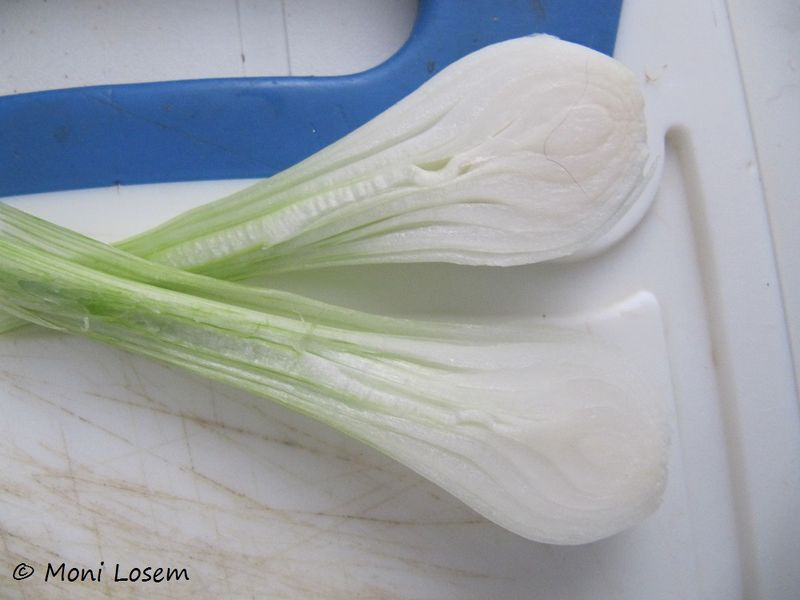 Datei:Allium fistulosum Linné, 1753 Ben 150916 1977.jpg