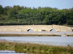 donja gradska vrata - die südliche Brücke konnte den Fluten nicht standhalten.