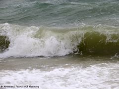 180321 11352 txt.jpg