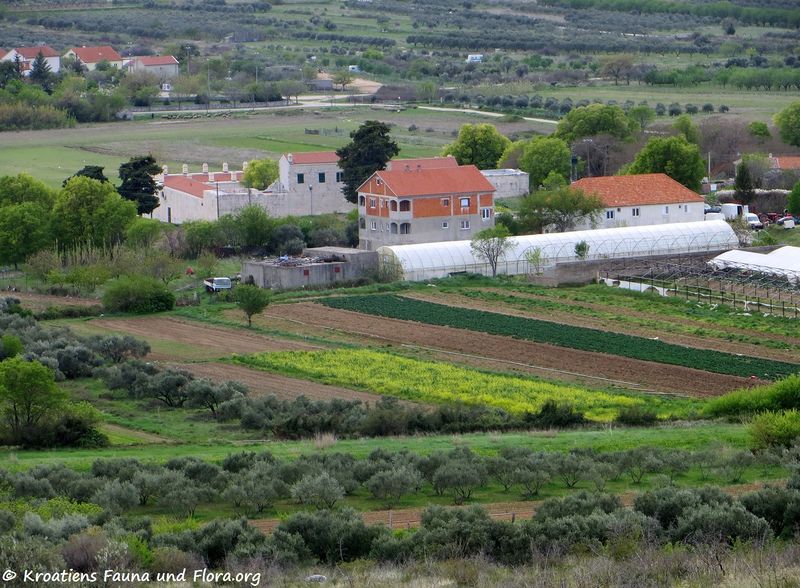 Datei:190412 0643 k.jpg