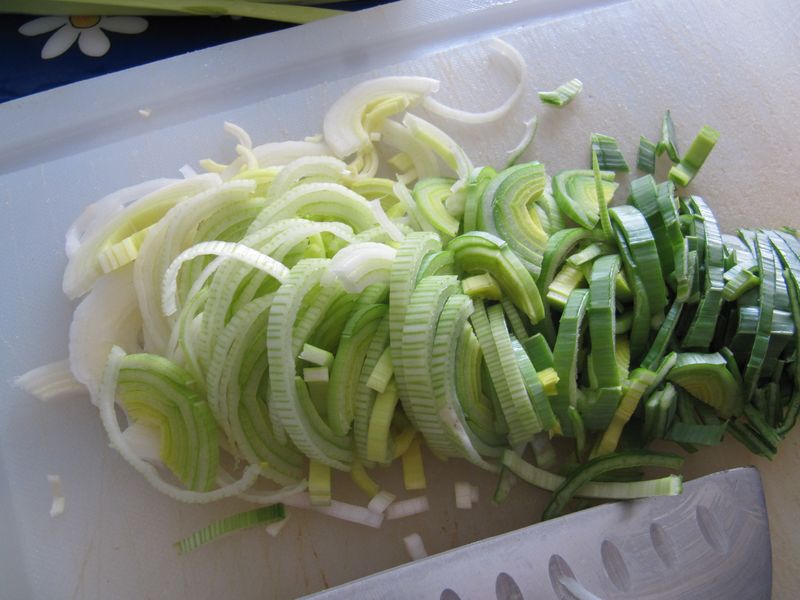 Datei:Allium ampeloprasum Linné, 1753 Zad 160126 7968 k.jpg