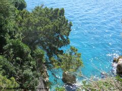 Stara Novalja, 09/2019