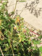 211230 3103 d Resede k.jpg