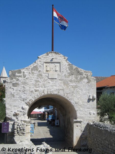 Datei:110910 50 Tor nin.jpg
