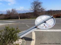 190224 0206 Zaton k.jpg