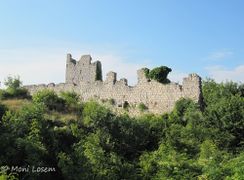 Die Südseite mit der Mauer der Vorburg und der Anlage der Hauptburg, 07/2014