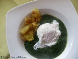 180327 113675 txt.jpg