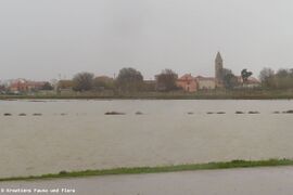 Die ersten Salzfelder komplett überflutet