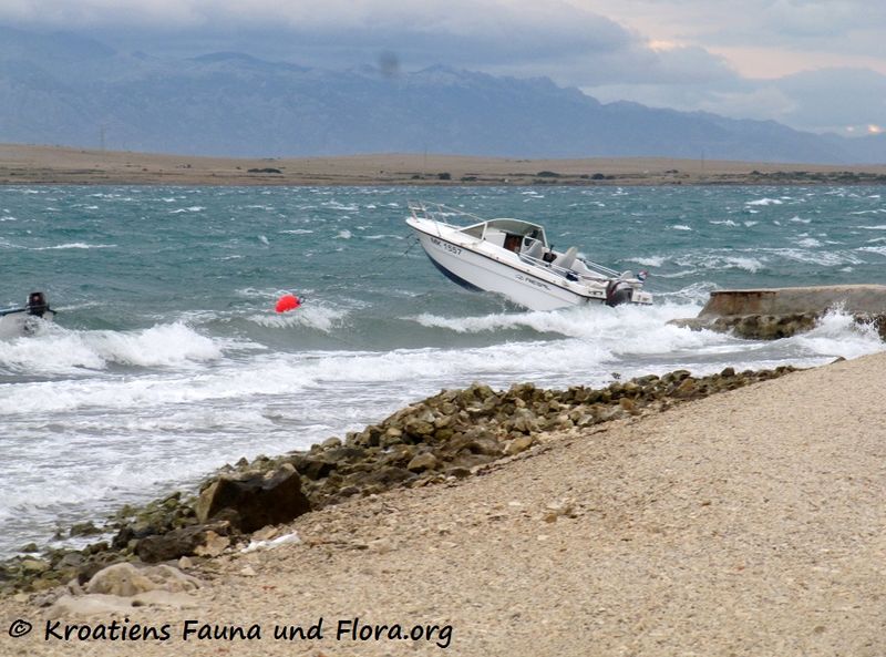 Datei:Folgen 160715 9012 k.jpg