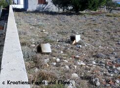 200209 191 k Rauchfang.jpg