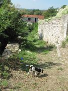 Der westliche Burgberg mit dem Weg