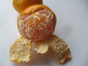 CitReti Zad 131105 5873.jpg