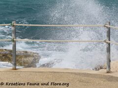 2301404 3753 Ražanac k.jpg