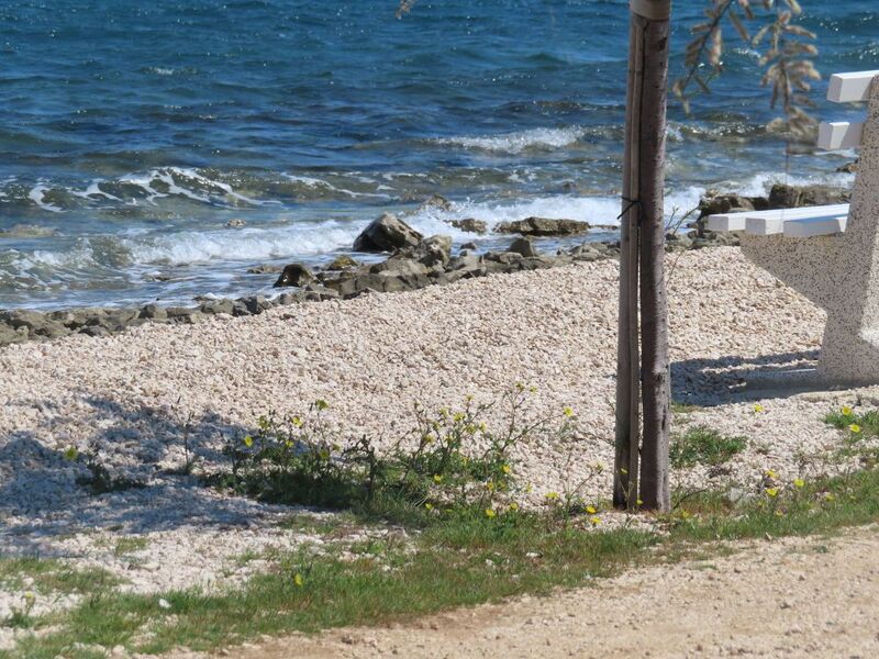 Datei:8 2604221 8542.JPG