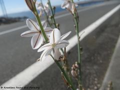 Rudelić Draga 03/2014