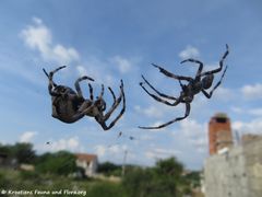 Der erste Kontakt steht kurz bevor