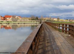 180405 11846 txt.jpg