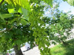 Odmorište Draganić 04/2018