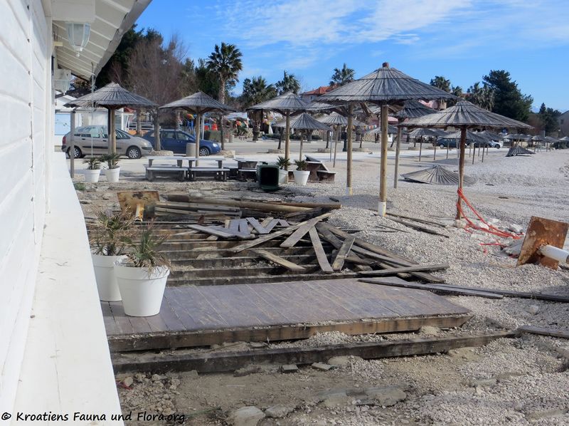 Datei:190224 0191 Strandbar k.jpg