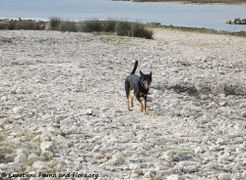 191220 2538 Barry.jpg