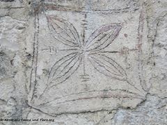 Wandverzierung 05/2016