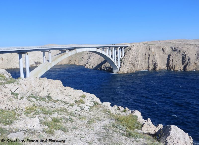 Datei:180626 14263 Paski most.JPG