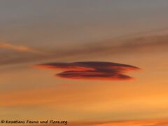 15.12.2021 - Ufos über Vir