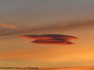 Lenticularis 211215 3058 k.jpg