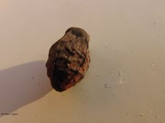 Reife Frucht, Vir 07/2015