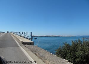 120801 608 Brücke Vir k.jpg