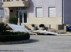 190224 0185 Rathaus k.jpg