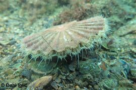 Zadar 09/2020, © Đani Iglić