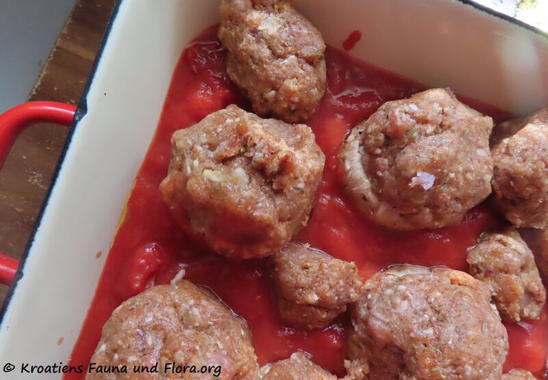 Datei:220218 2309.jpg