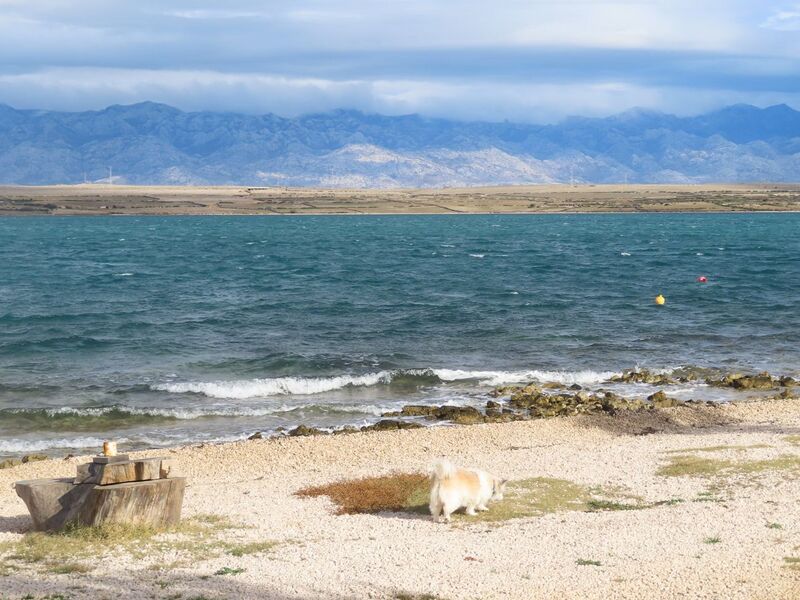 Datei:251118 6988.JPG