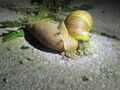 Vorschaubild der Version vom 16:29, 13. Mai 2026