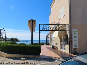 211024 2867 Priv Bistro Sabun.jpg