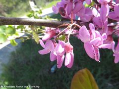 Zračna luka Zadar-Zaton 04/2018