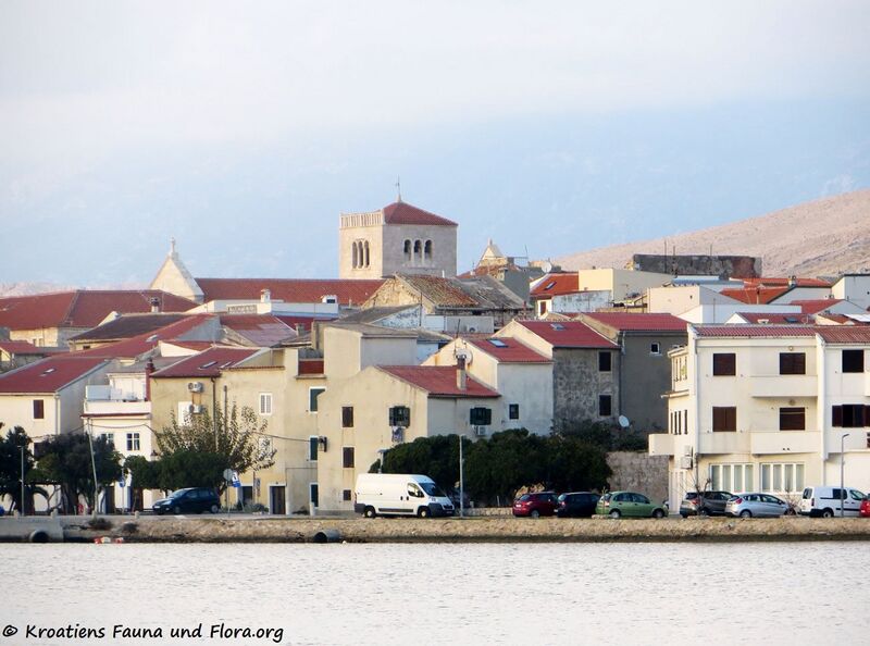 Datei:181111 15657 Pag k.jpg