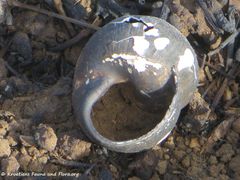 190224 0203 Nin k.jpg