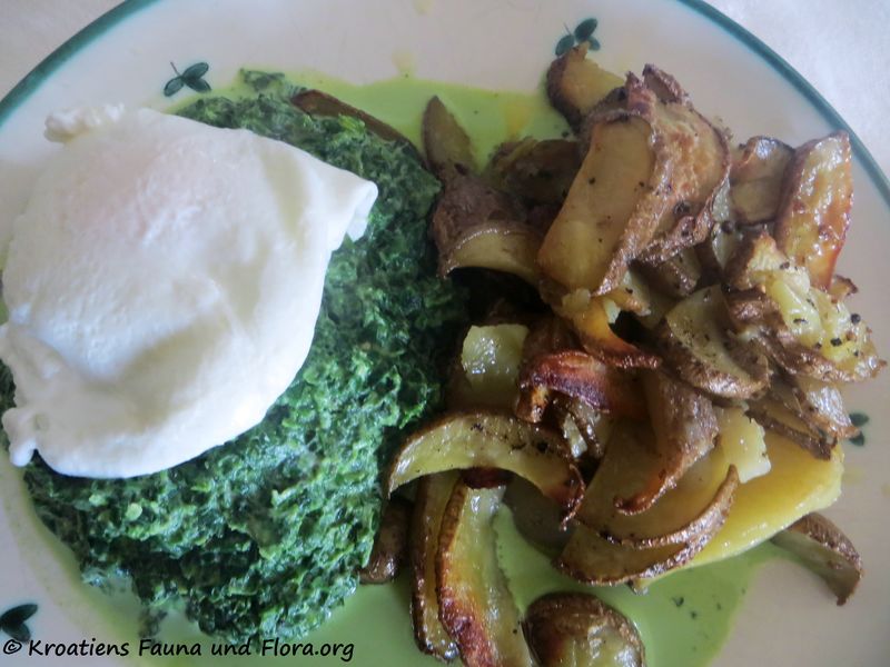 Datei:200416 380 k.jpg