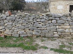 Die Mauer um den Schulhof