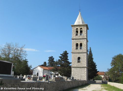 120531 813 Zaton txt.jpg