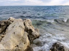 180108 10191 txt.jpg