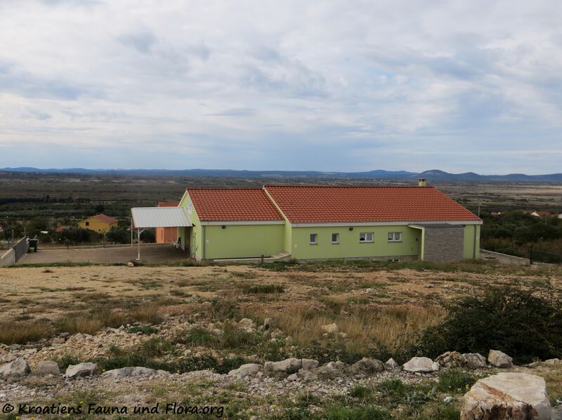 Datei:191031 1996.jpg