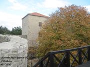 Weiße Rosskastanie, divlji kesten. Fundort: Benkovac, Heilpflanze, Zierpflanze, Endemische Pflanze