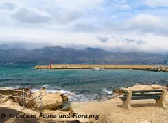 2301404 3750 Ražanac k.jpg