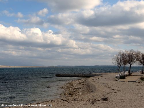 180108 10187 txt.jpg